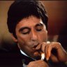 alpacino