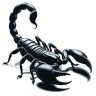BugGuy936