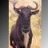 Wildebeest