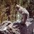 Rockywolf