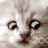 books1648