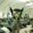 melch79