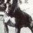 dogman75