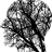 harmonyaudio