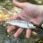 Trout Hound