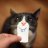 landon_lion