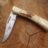 CaseSharktooth