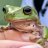 Bufo The Frog