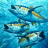 Yellowfin 2na