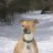 JacksonBoxer