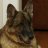 Elidog1966