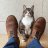 Havebootswilltravel