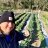 Homesteadlife