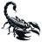 BugGuy936
