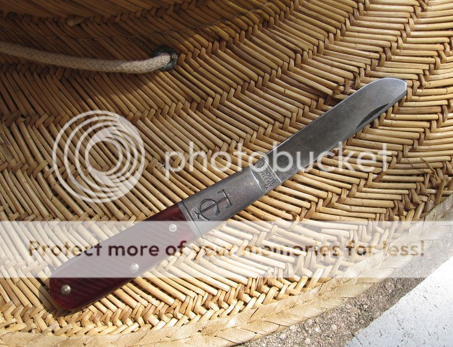 IMG_4356_zpskryep2ay.jpg~original