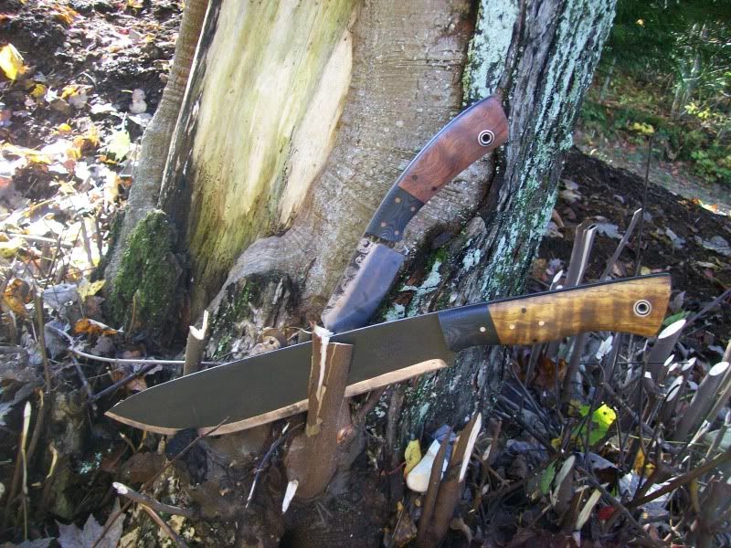 Fiddlebackforge013.jpg