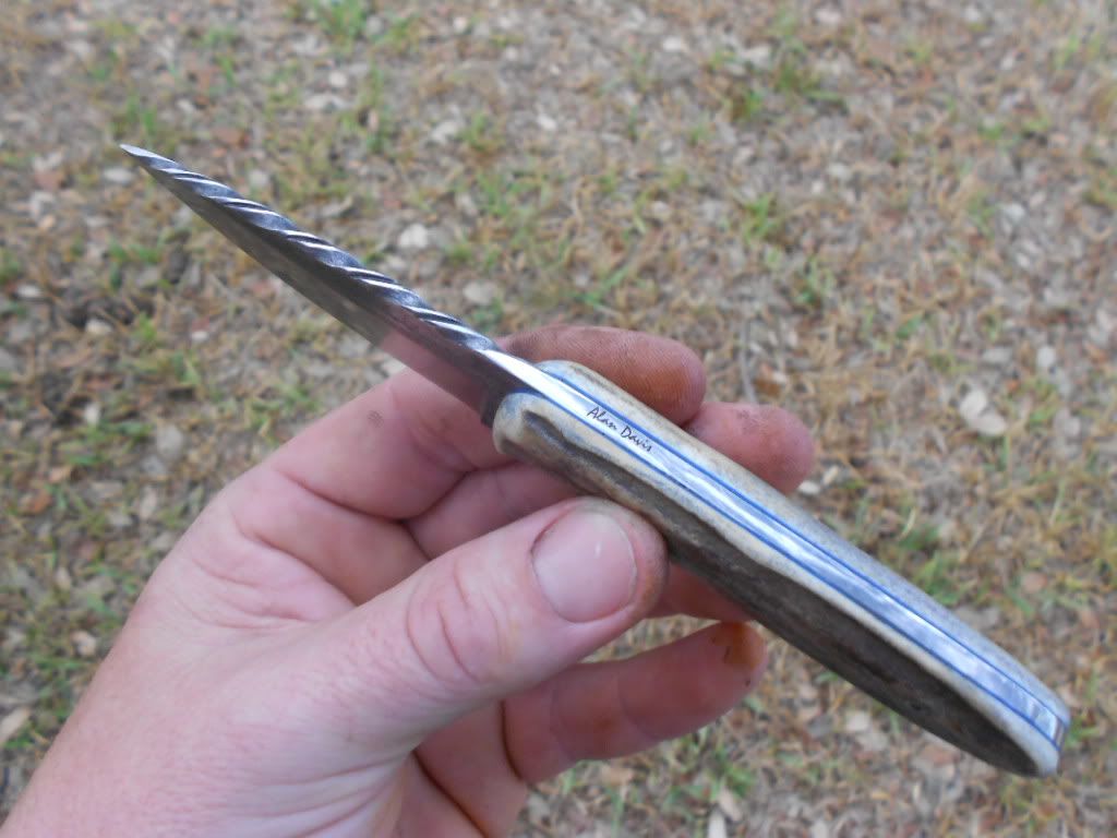 1095stag062.jpg