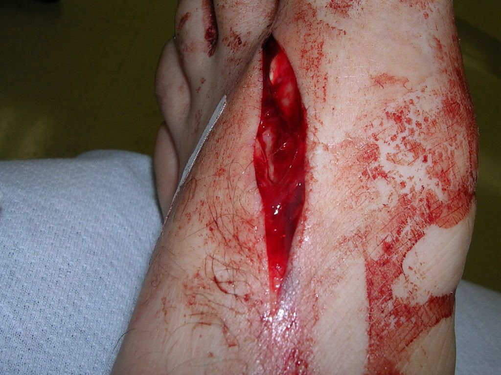 DSCN1566.jpg
