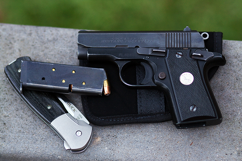 colt380_paradigm.jpg