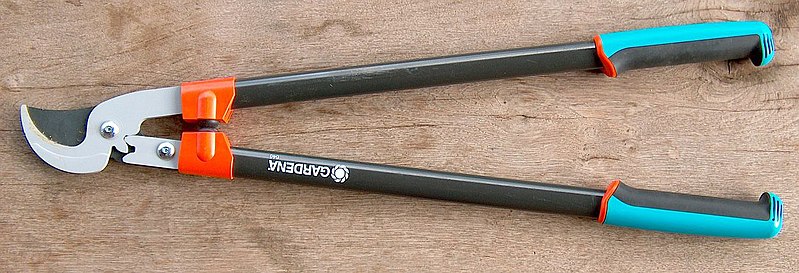 799px-Astschere.jpg