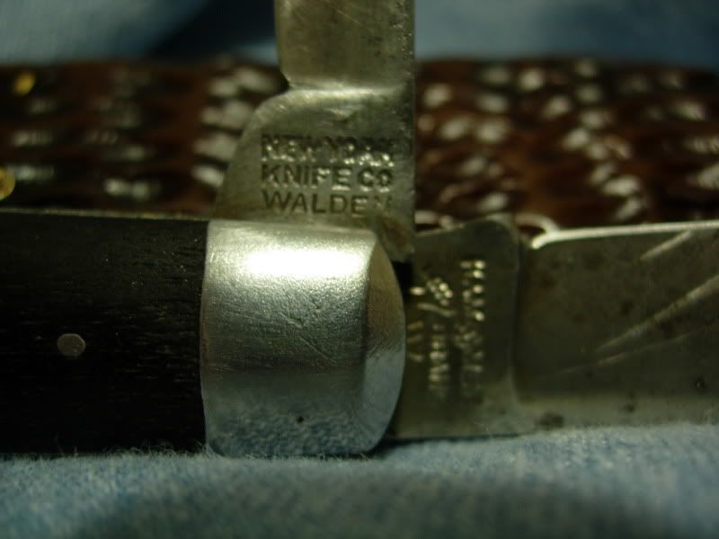 DSCN5923.jpg