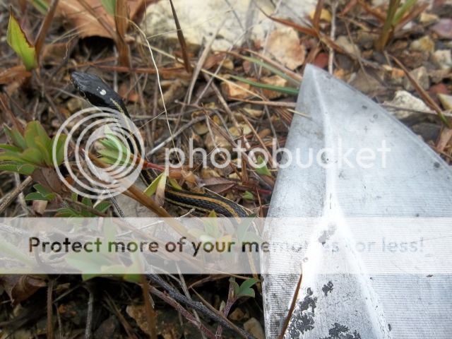 100_3364.jpg