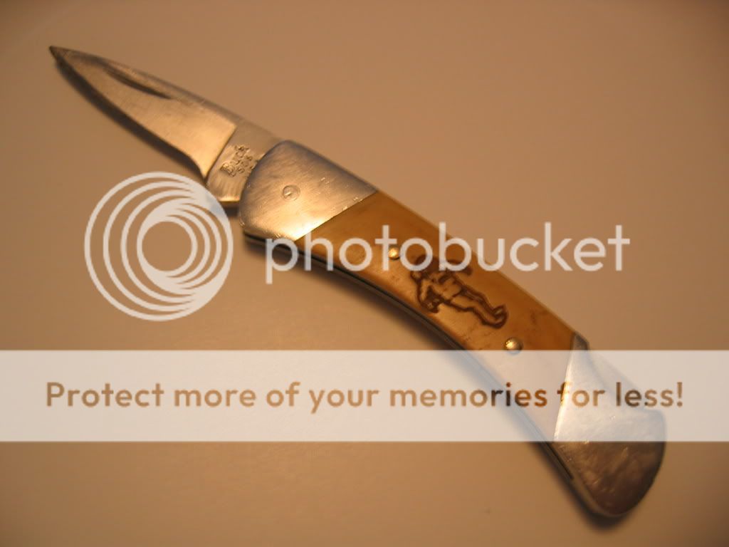 Buck506_1.jpg