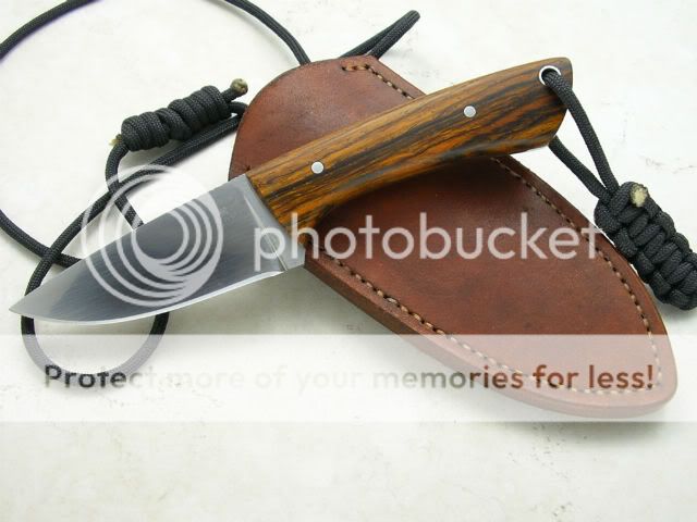IMGP1432.jpg