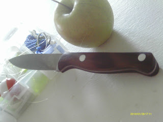 IMAG0669.JPG