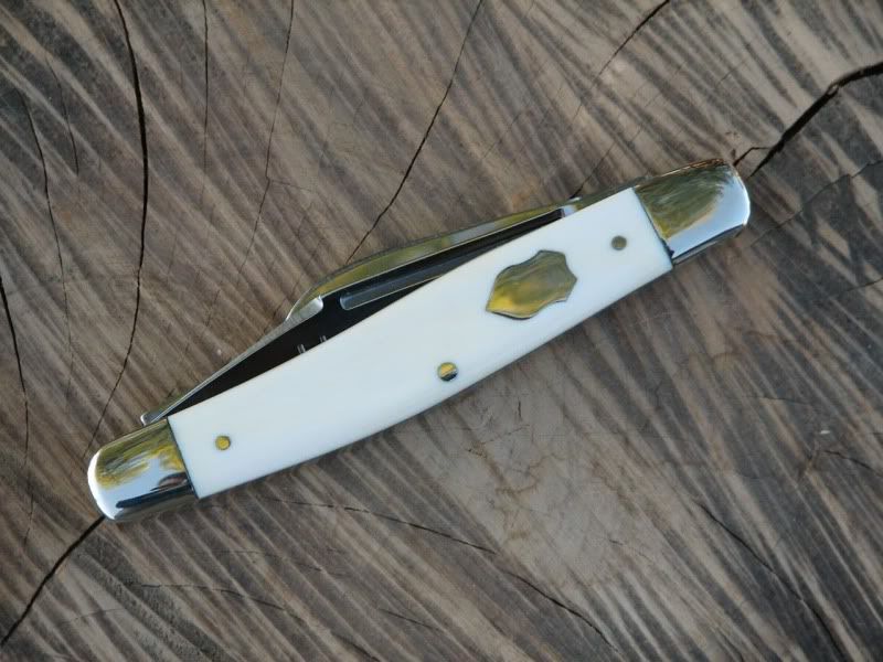 ivory1-1.jpg