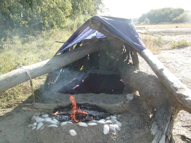 9-10200751.jpg