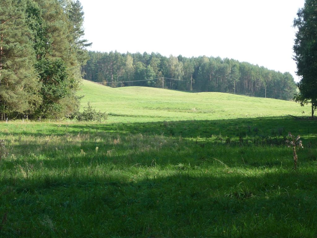P1080008.jpg