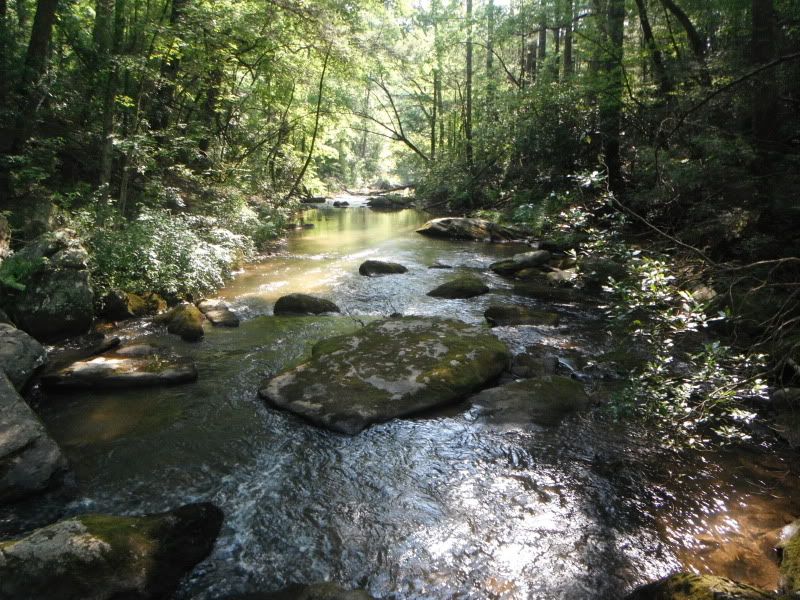 DSCF0049.jpg