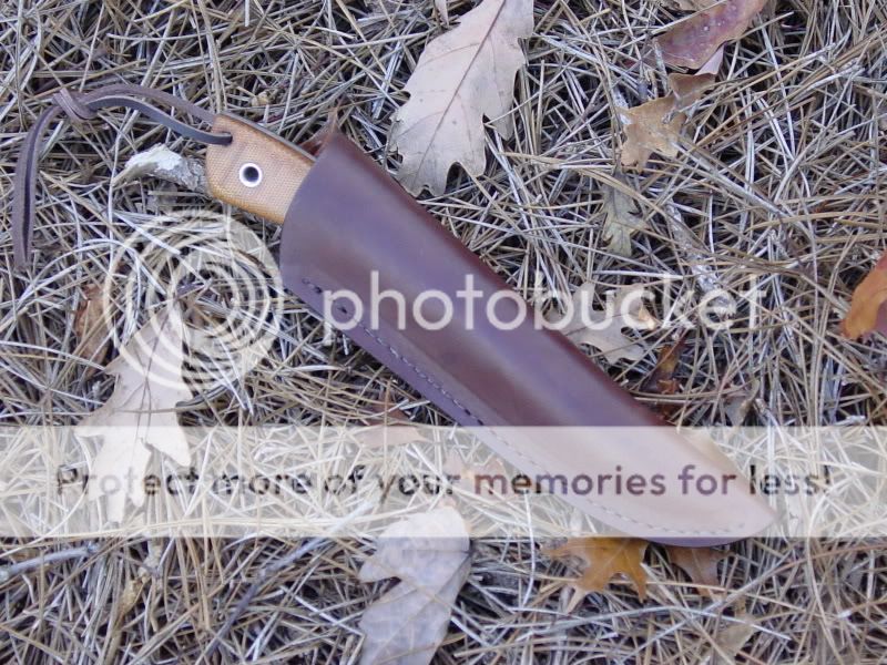 newhoundstoothandrecurve030.jpg