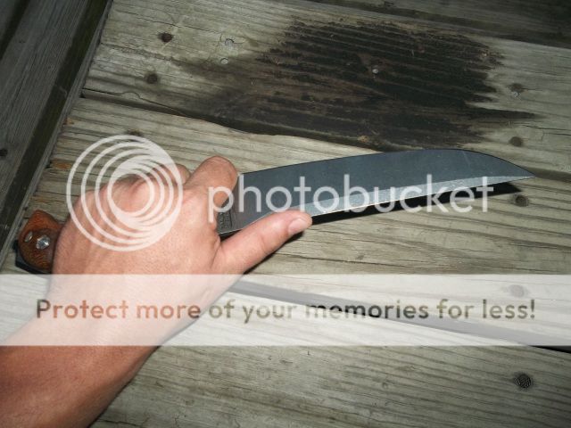 100_2393.jpg