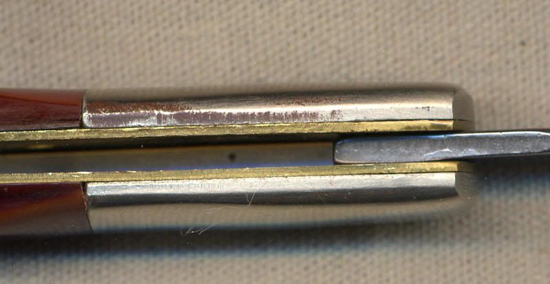 CamillusBarlowcloseup.jpg