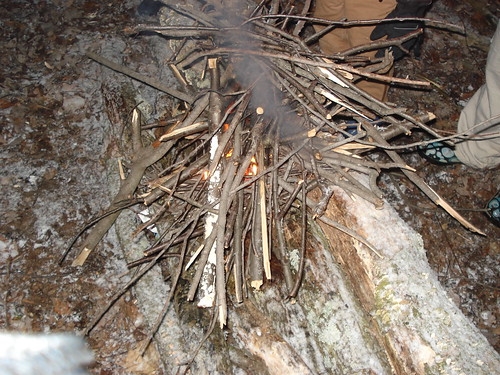 12011651873_ae17561f59.jpg