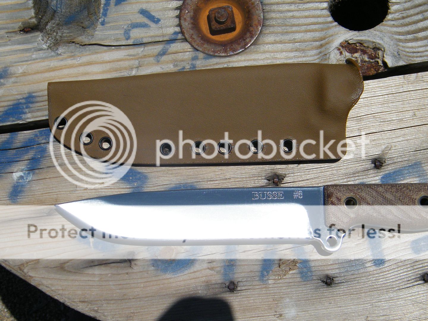 DSCF7204.jpg