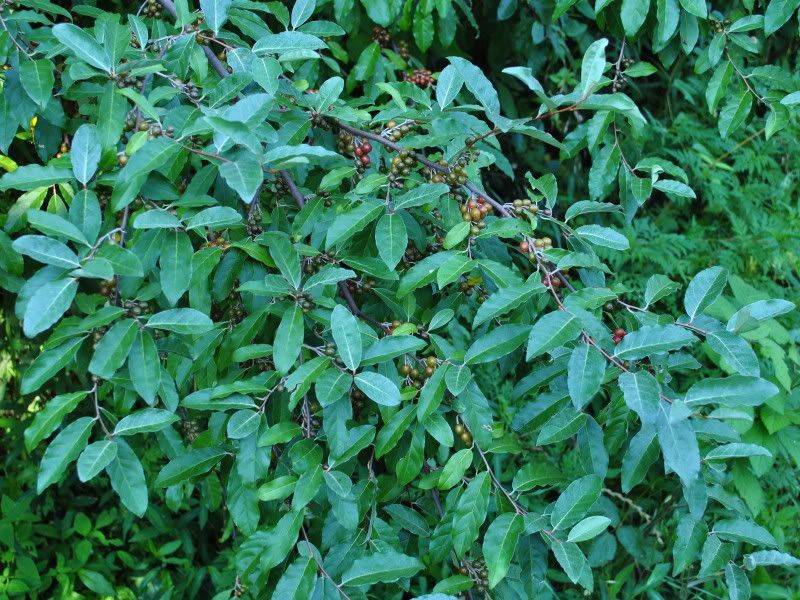 DSC_3022.jpg