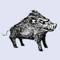 tiny-pig-avatar.jpg