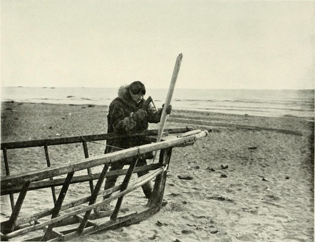 IgMZAaBl.jpg