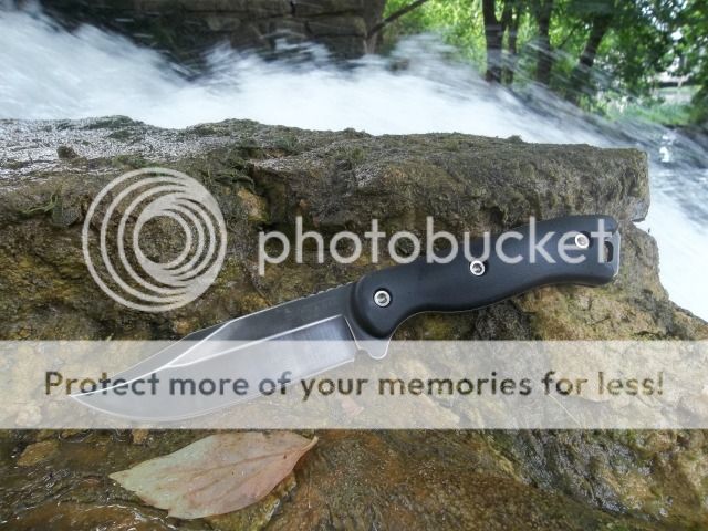 100_3445.jpg