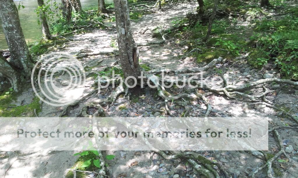 2012-05-25135347.jpg