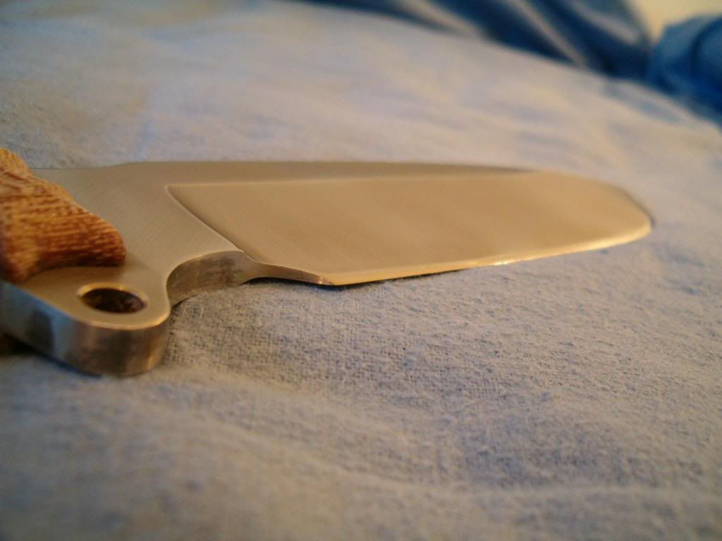 sfno5.jpg