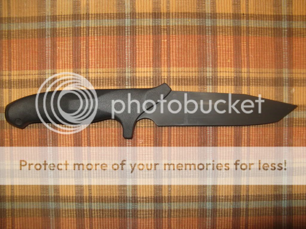 IMG_3132_zpsfab01b26.jpg