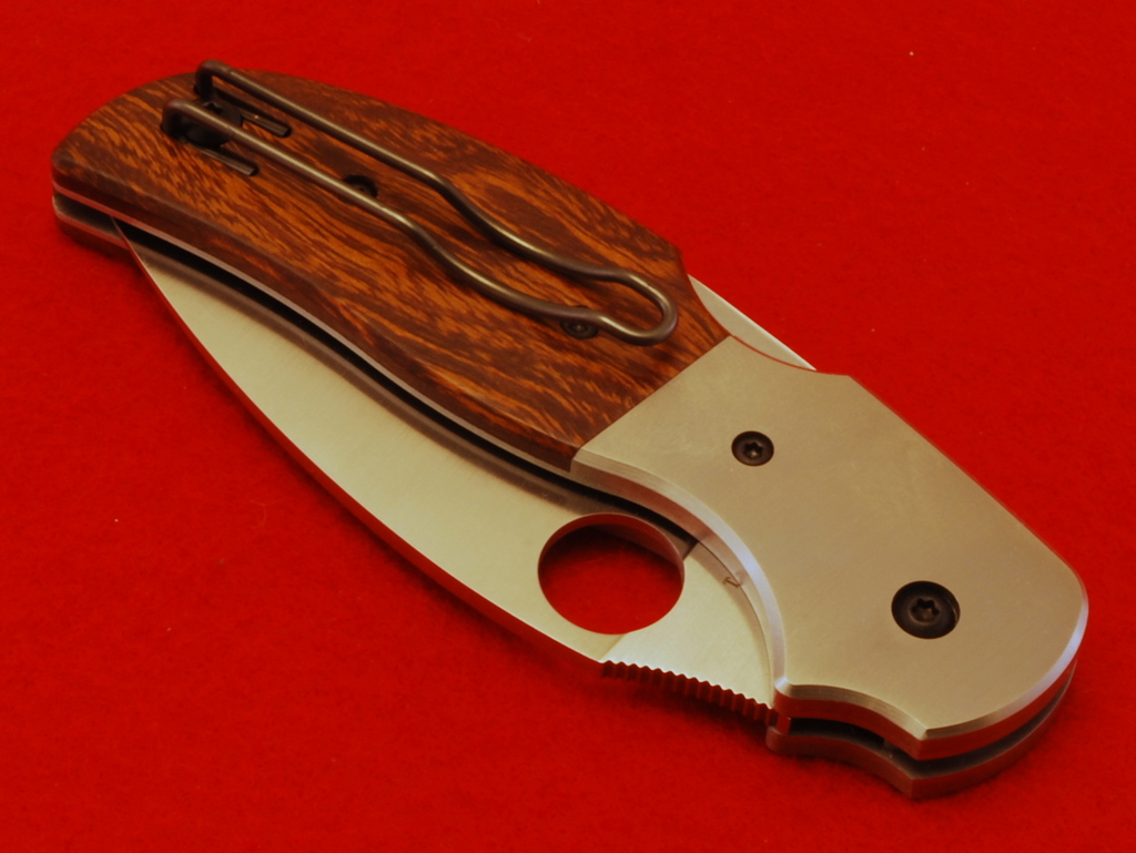 Sage_IV_05a.JPG