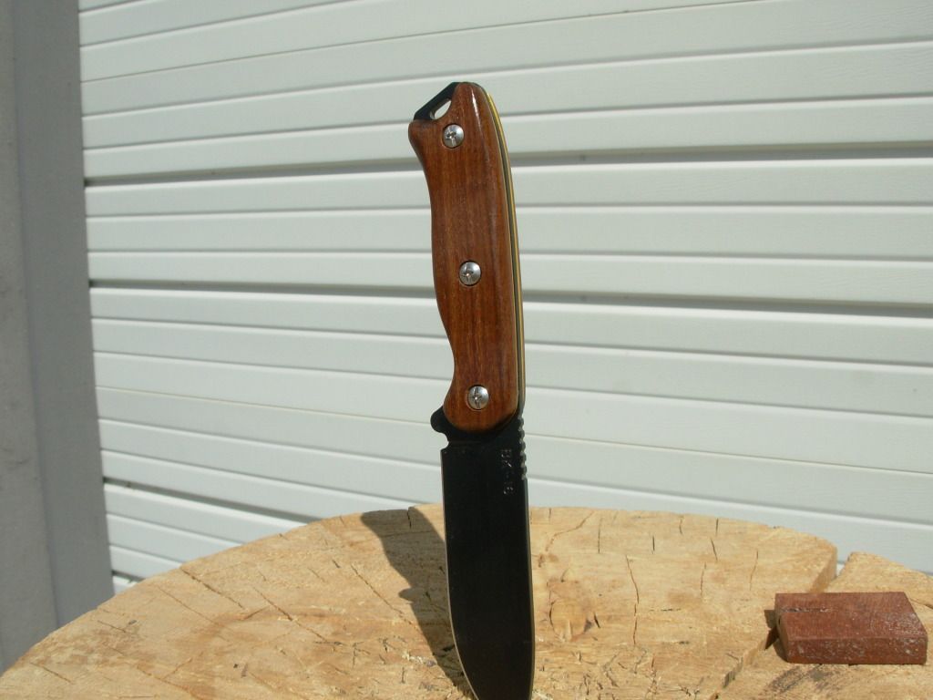 DSCN0972.jpg