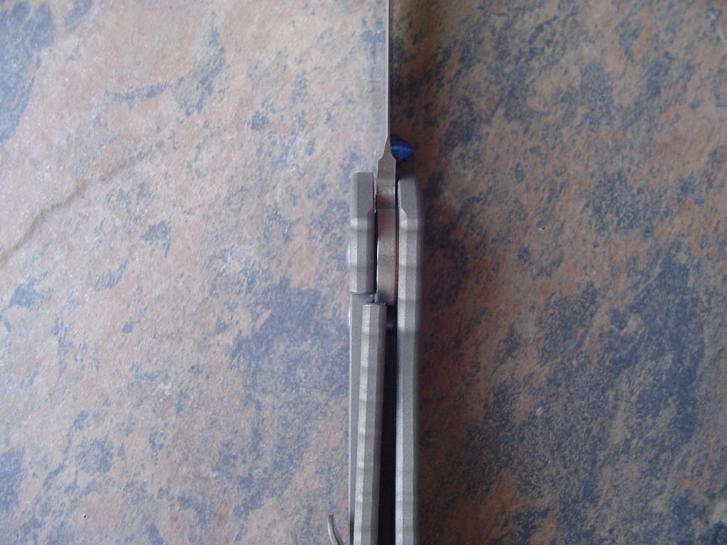 DSC04899.jpg