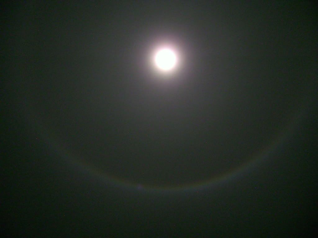 DSC06181.jpg