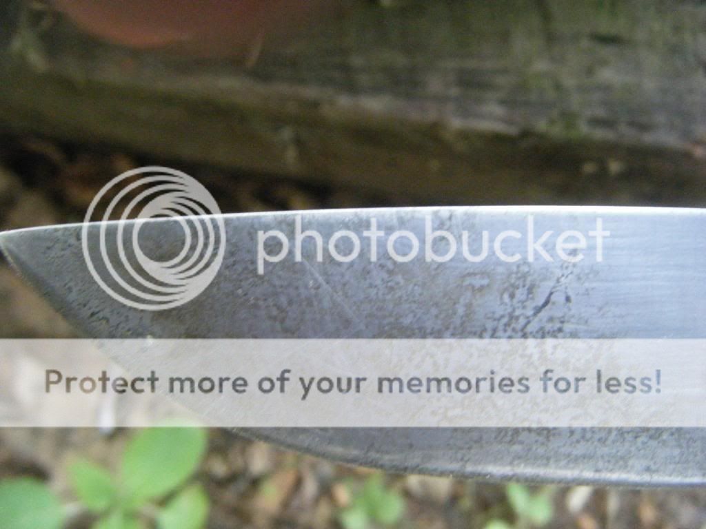 DSCF1664.jpg